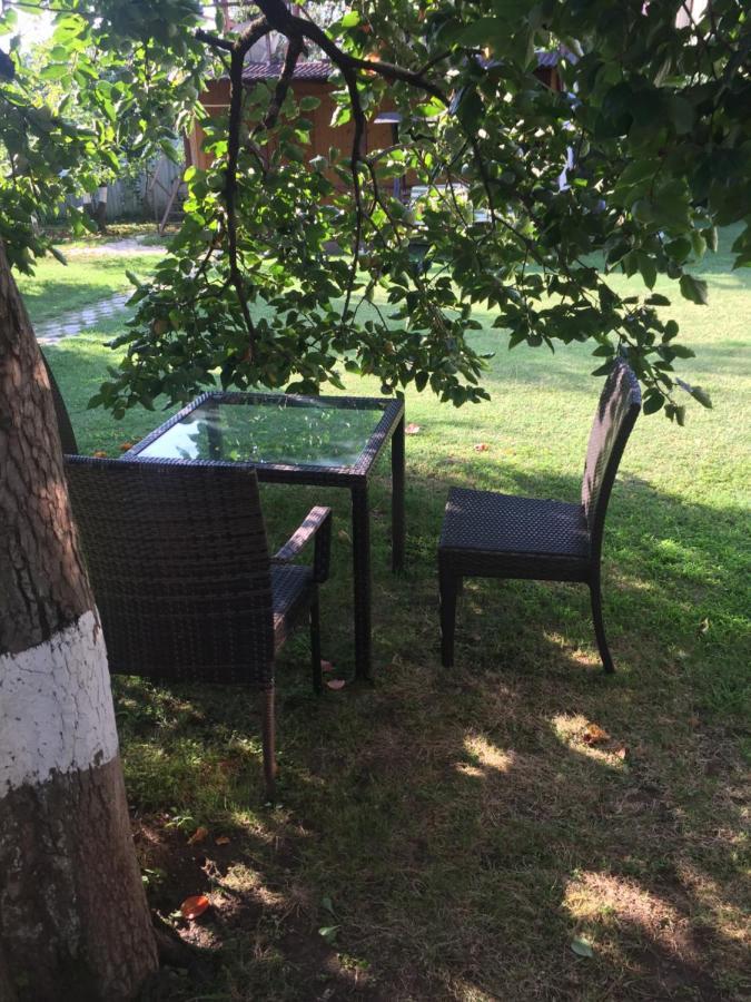 Baza Otdyha Miya Hotell Gudauta Eksteriør bilde